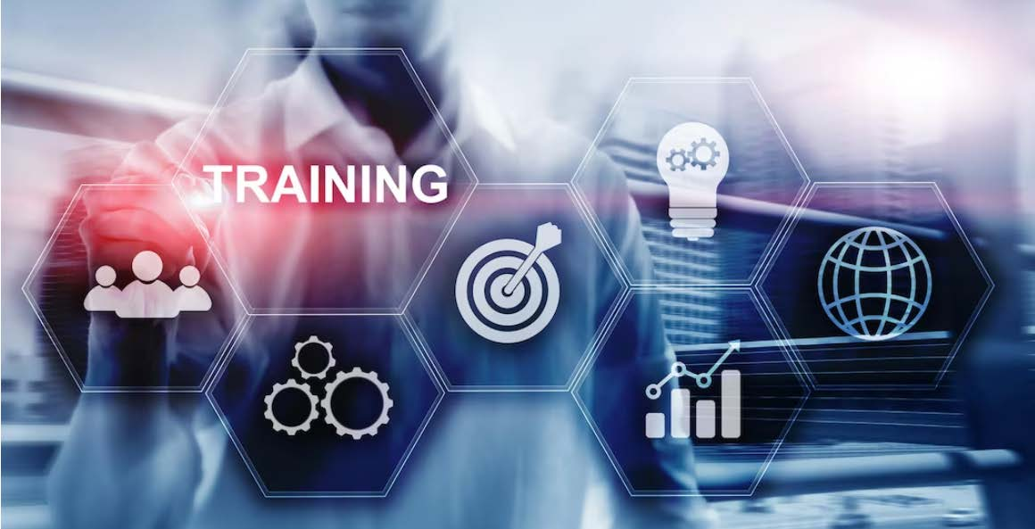 A digital training and development interface